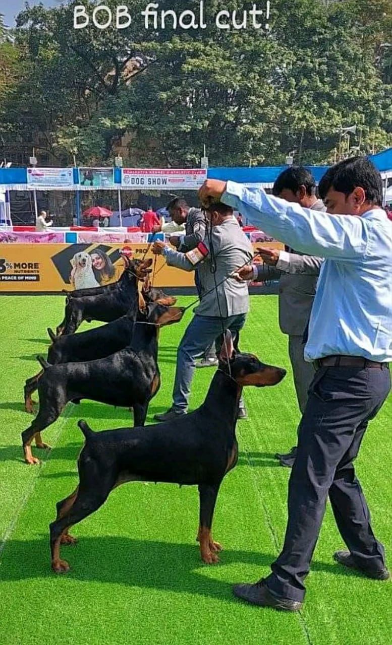 Results Moment